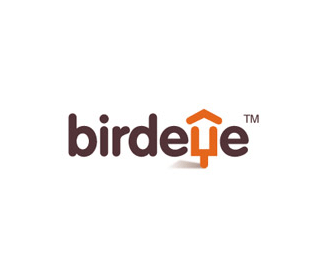 BirdEye鸟眼创意字母标志设计欣赏